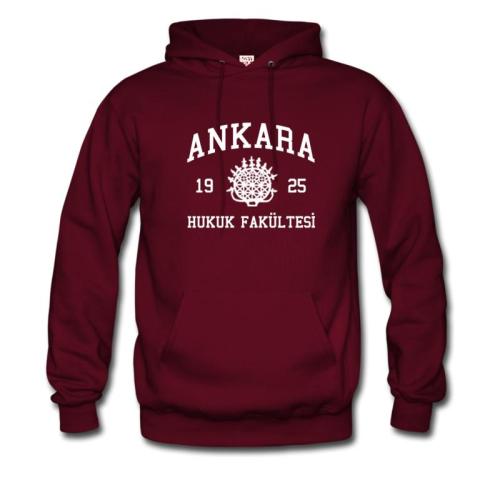Ankara Üniversitesi Hukuk Fakültesi Model 1